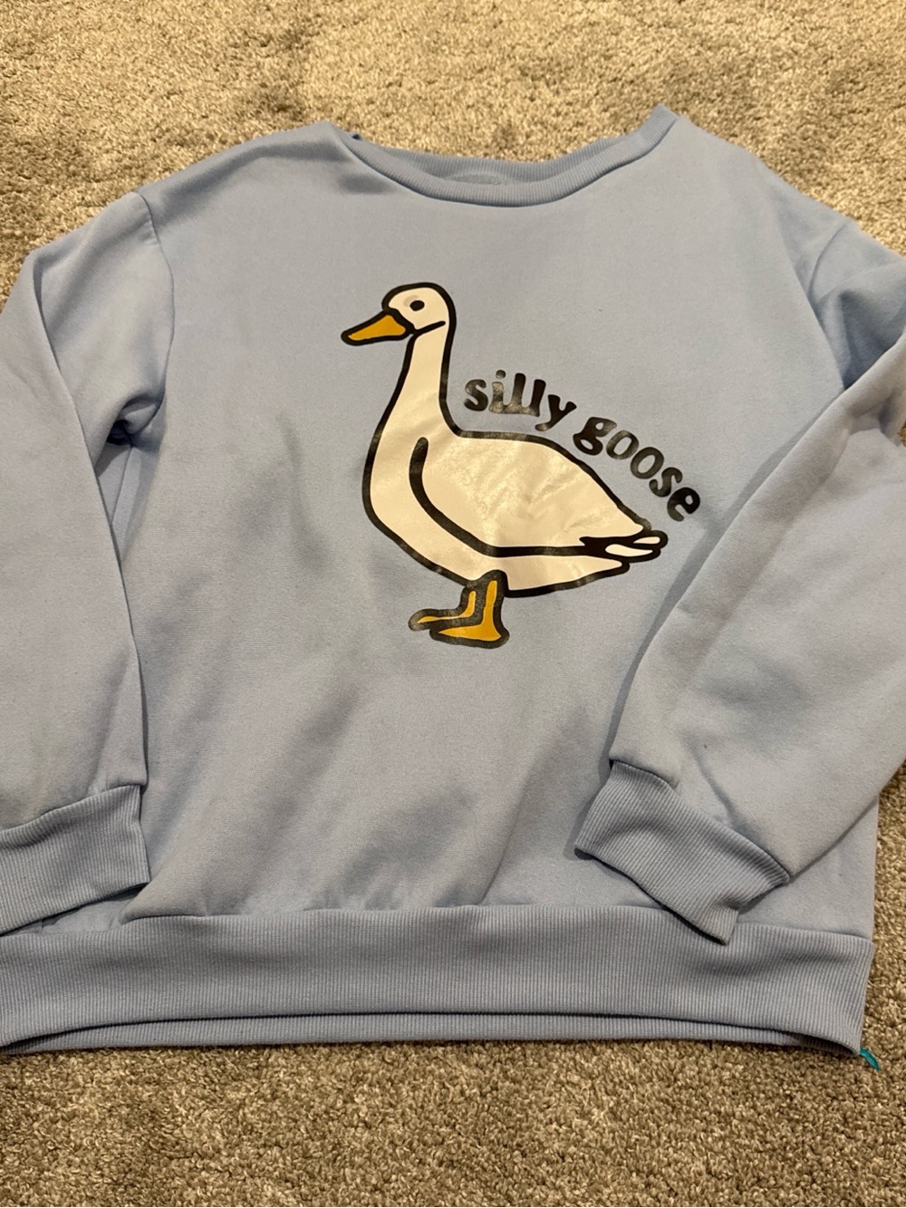 SHEIN Light Blue 'Silly Goose' Crew Neck Sweatshirt